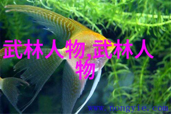 江湖千秋大名分析最受欢迎的五字助手组织称呼