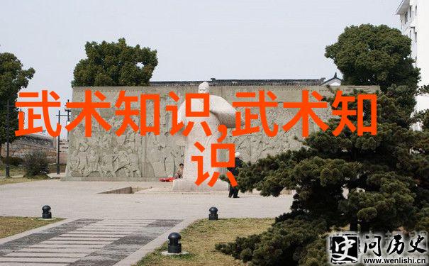 太极流转揭秘简易24式拳法的智慧与魅力