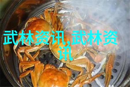 武术学习-掌握传统精髓48式太极拳全套视频带口令