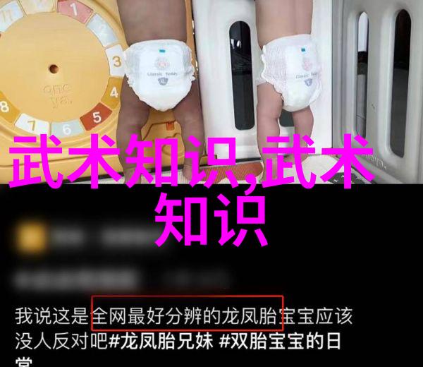 太极拳24式自学图解 - 掌握古老内功的秘密从入门到精通的实用指南
