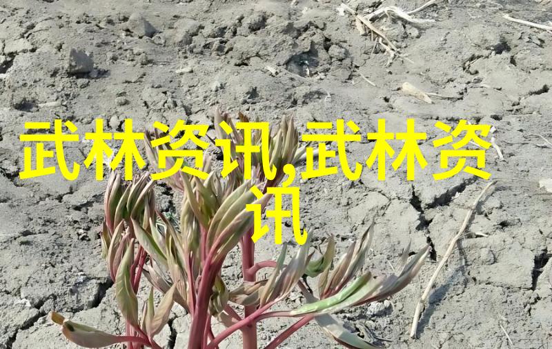 一年24节气与太极拳交融犹如天地间呼吸的和谐共鸣初学者若能将这一自然规律内化于身心将武术套路拳法练至