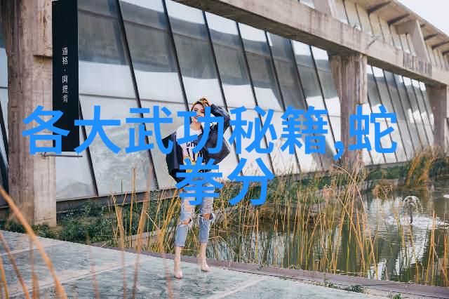 溅起梦想游泳减肥的魔力词典