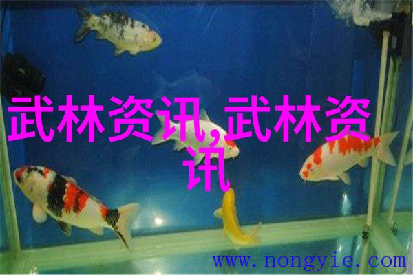 杭州游泳馆解开健身之谜的奥秘池