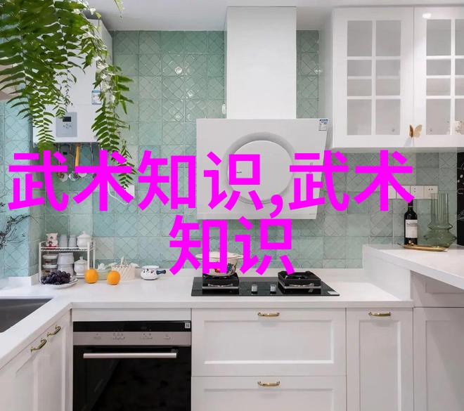 太极拳24式分解动作教学在自然之中寻找预备与起势