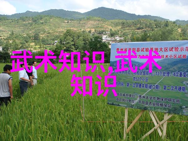 球探比分足球即时比分手机版0梅洛的挑衅行为是否真的激发了暴力球员被罚的背后是怎样的故事