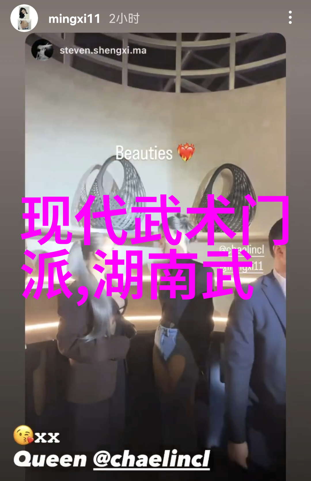 诗剑岳家探秘门派拳种的传统与魅力