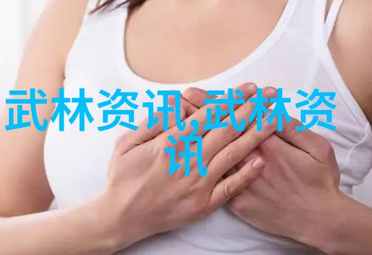 武功秘籍大全招式拳法图片我是如何掌握一本神秘武功秘籍的从零到英雄的拳法之旅