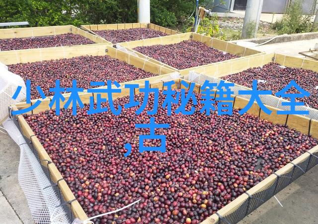 武林秘密湖南古门的沉默传承者