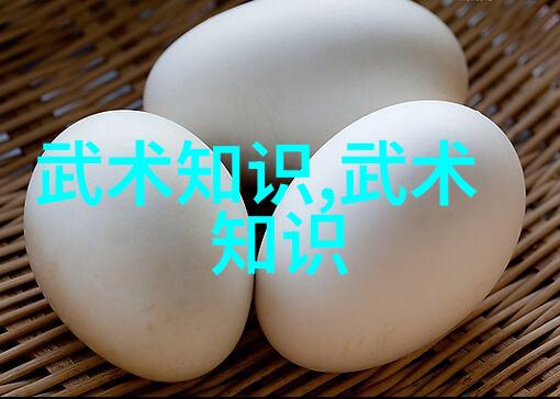 中国武术宝库揭秘十大内功之谜
