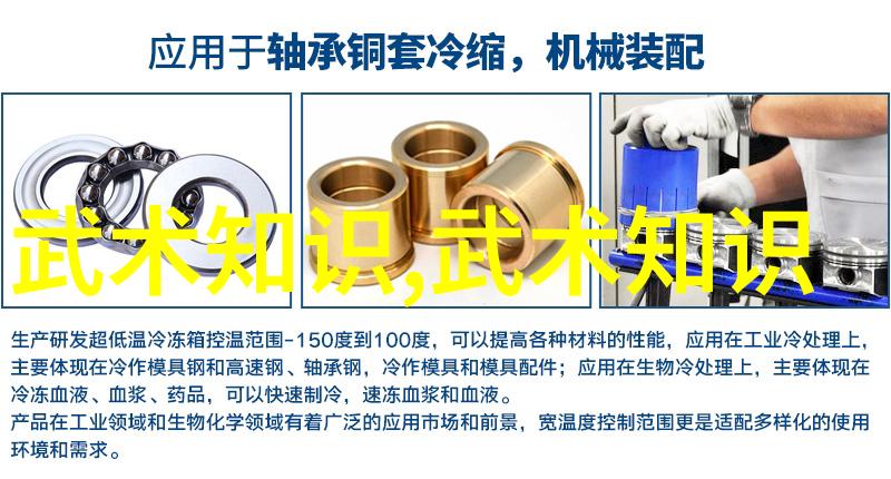 云华盟三皇炮锤拳与柔情剑舞