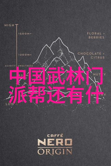 精英对决分析不同国家和地区在学习并融入中国武术十大门派的情况
