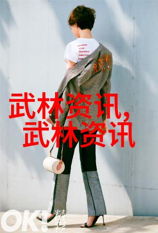 中国武术拳法种类之多中国传统武术的各种拳法风格