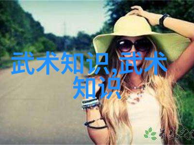 武术学习之旅探索中华传统功夫的魅力