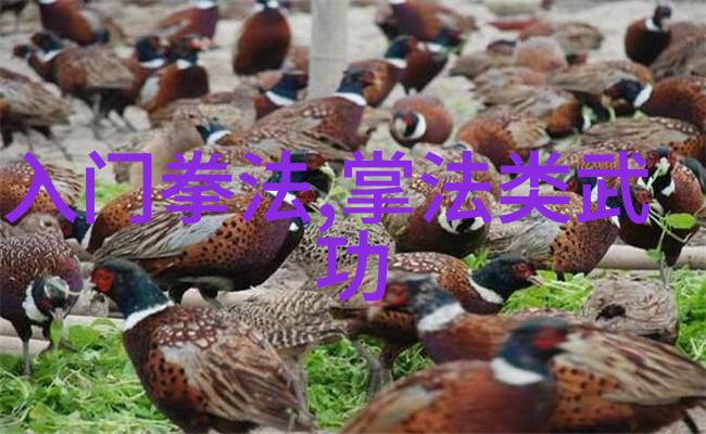 六大门派的财源奇特揭秘他们的收入来源