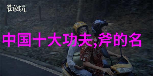 少林武功秘籍大全-揭秘千年内功与招式之谜