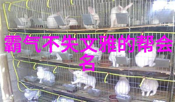 武林秘籍招式大全带图揭秘江湖大佬们的内功外化秘诀