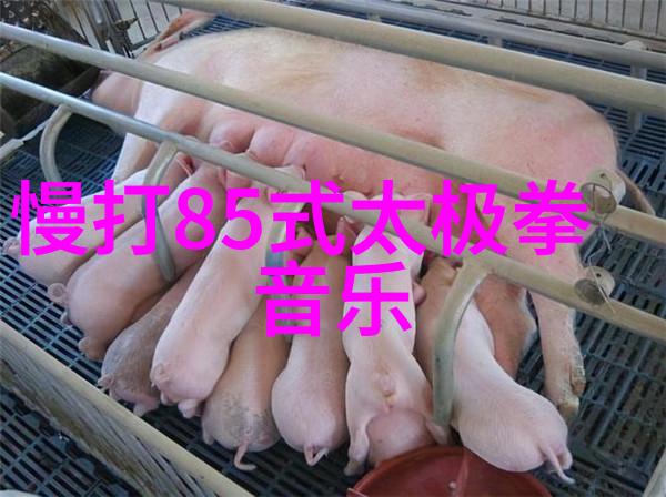 篮球网站上CBA总决赛规则是怎么样的(2021年CBA总决赛规则解析)