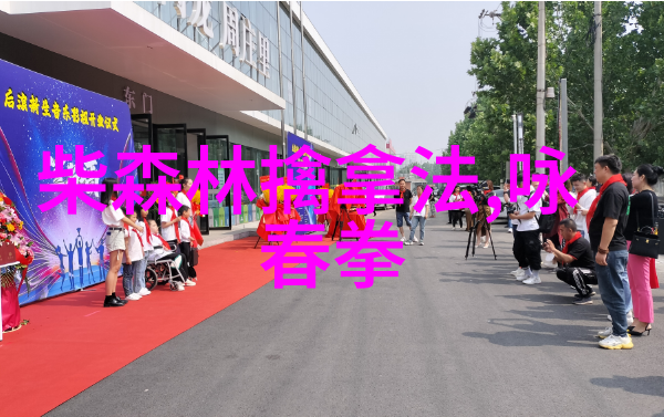 自学八极拳能成功吗八极拳自学经验分享提高武术技能的秘诀