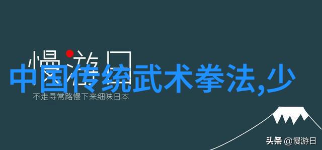 解锁太极秘笈王守东的网络练习之谜