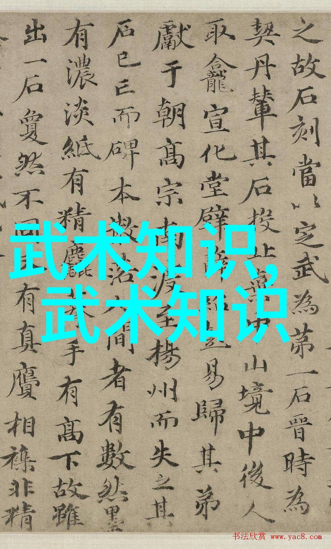 探究小说中诸多宗门文化的魅力与深度