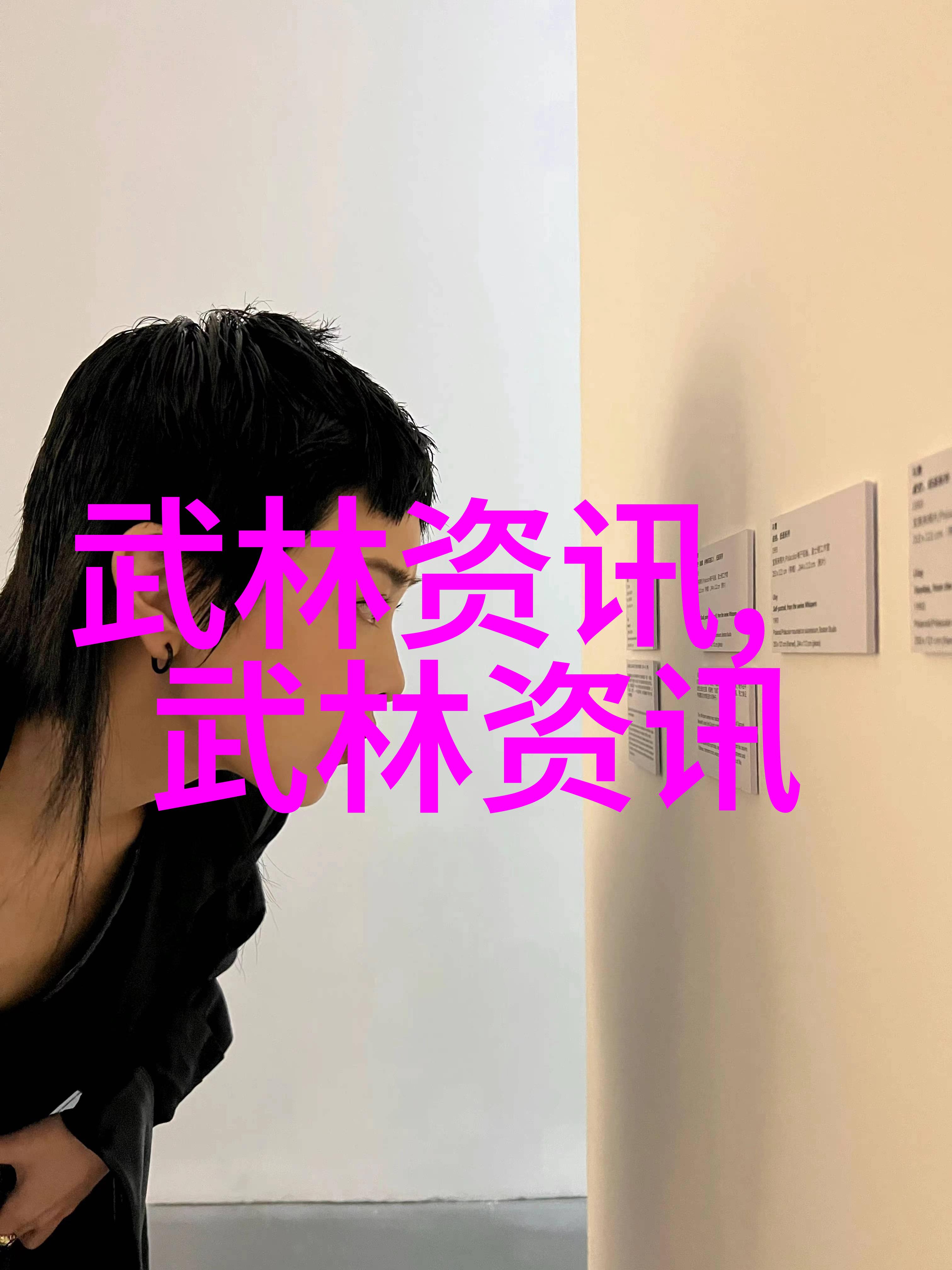 全球十大帮派黑暗势力之名录