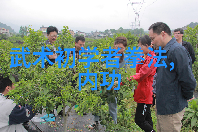 斯坦森臀部训练常见错误在社会中腰椎不稳