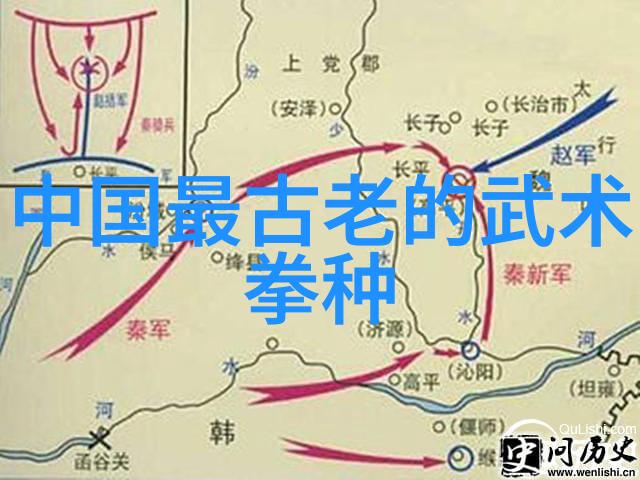 太极拳24式名称顺序图解探究历史与自然展望未来发展策略
