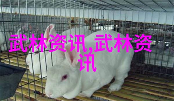 黄金通行揭秘王者荣耀黄化视频网站的奇迹之门