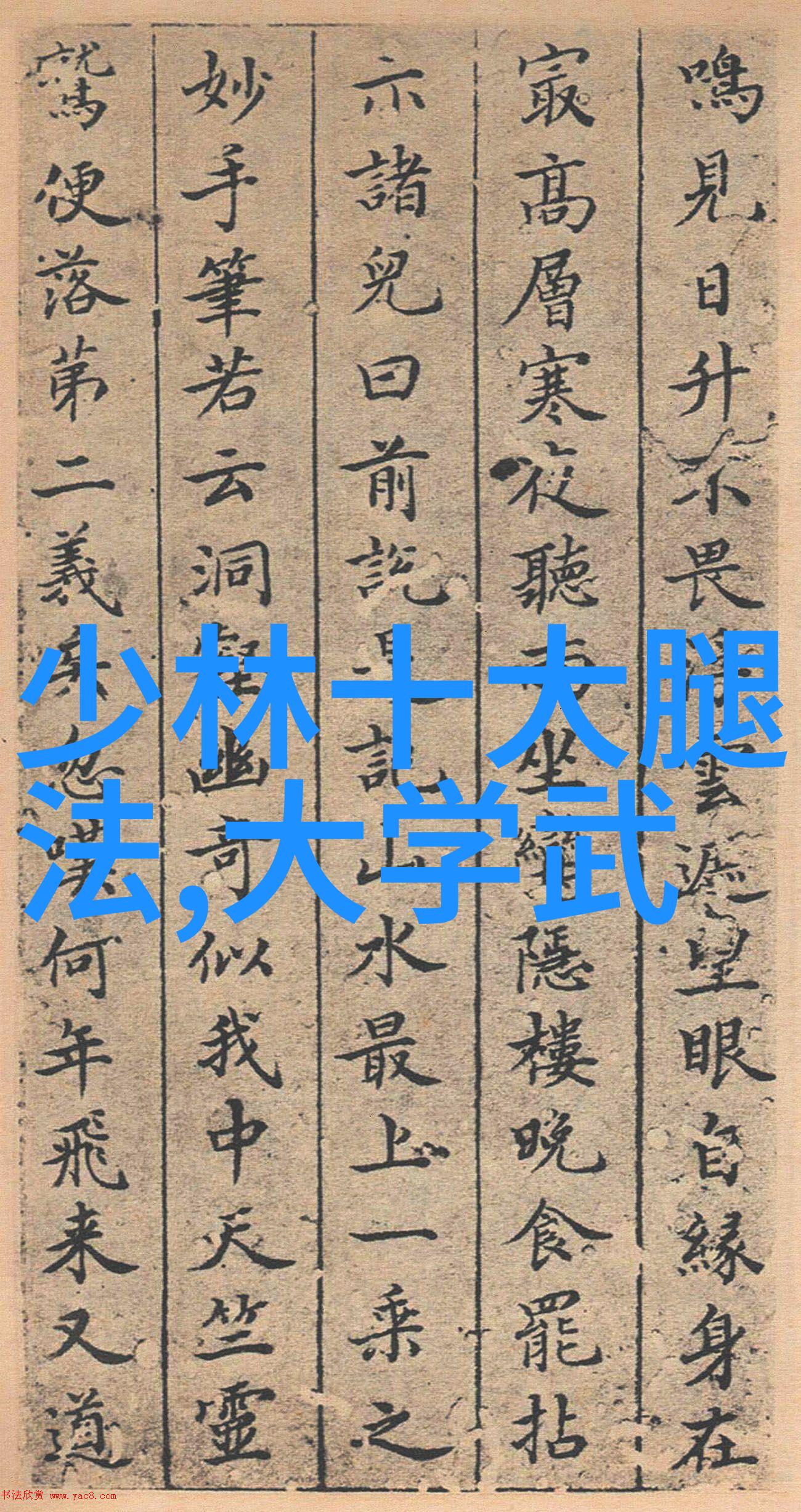 气排球比赛双手正面传球技巧与下手发球精髓高清视频入门教程