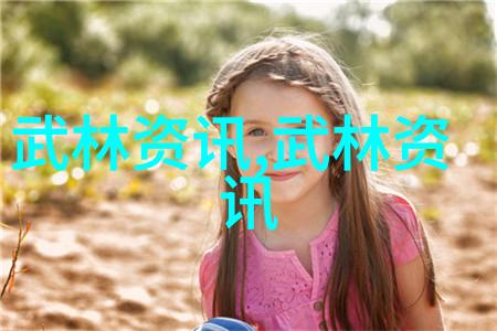 太极功夫秘籍内家拳的灵动之谜