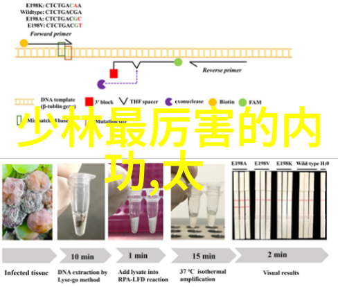 医疗器械不良事件监测与再评价私人健身教练Wecoach的双重追求