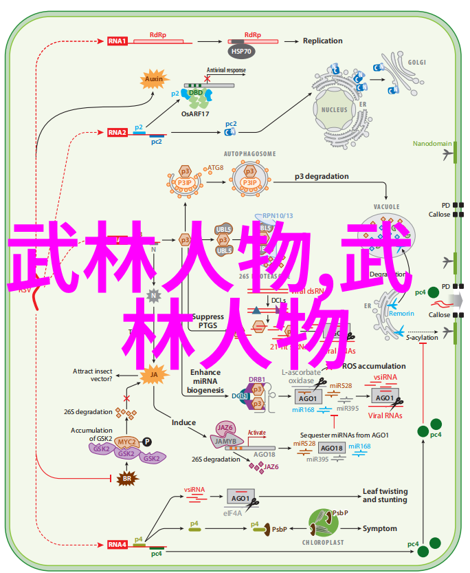 世界拳击之巅揭秘最具毁灭力武术