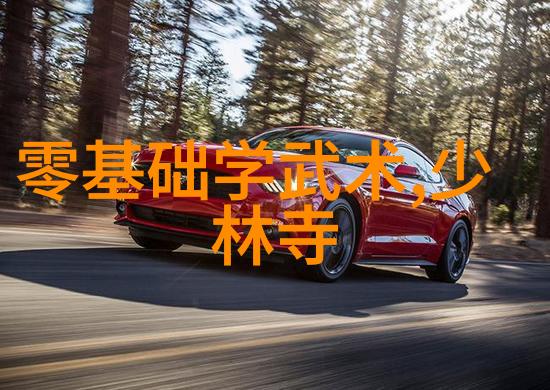 武林绝技考察金庸小说中神功实力排名研究