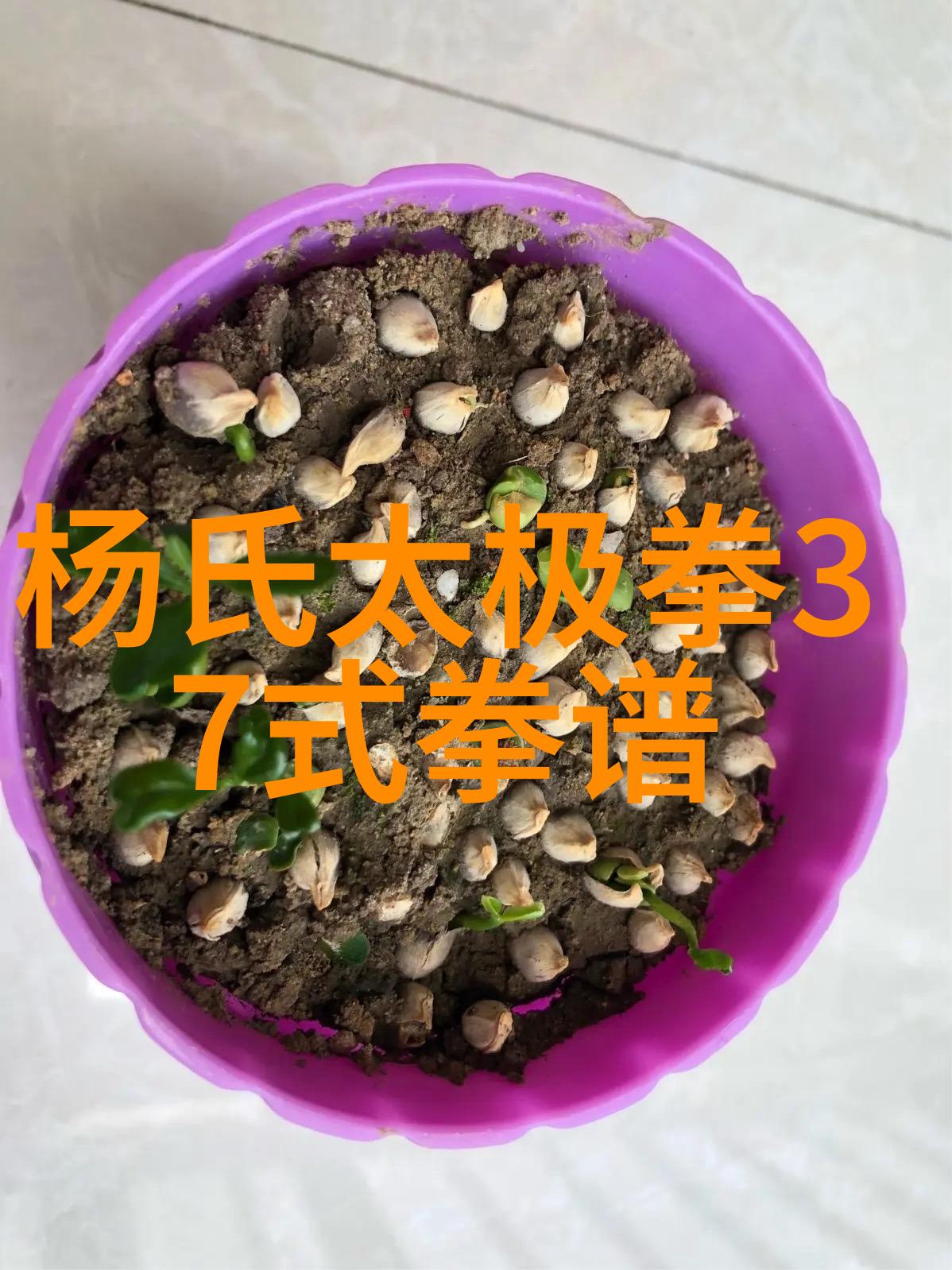 日出水了好爽视频我这不就拍了一段晒到网上的人们都说超级爽的吗