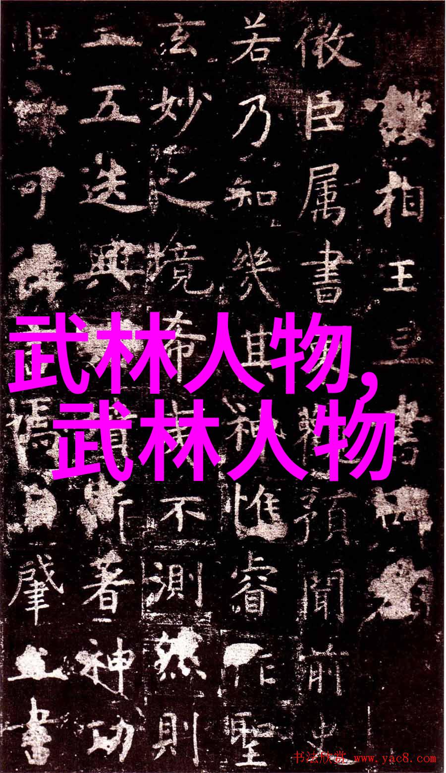 中国拳法-探秘中国拳法从太极到武术的多样之美
