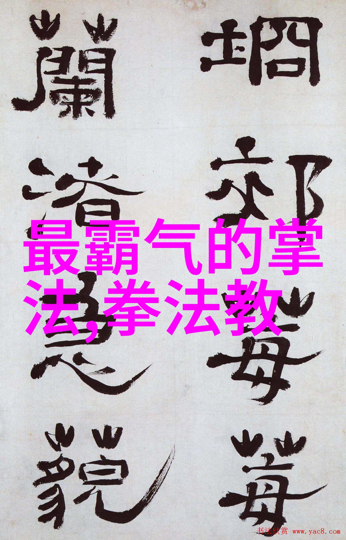 太极拳乃小说里好听的宗门之首拳种中蕴含无数套路宛若天地之间的和谐之舞