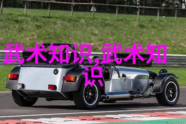 会武术的人很危险揭秘内功外的杀手锏