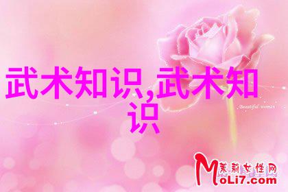 走进太极世界学习十三式时如何正确掌握脚步变化