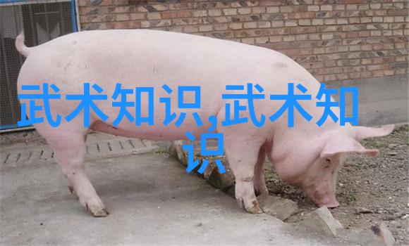 犬性娱乐指南如何引导狗狗成为视频中的主角