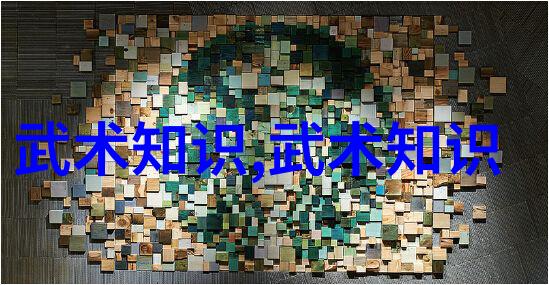 武术基础探索十二大功夫基本动作的精髓