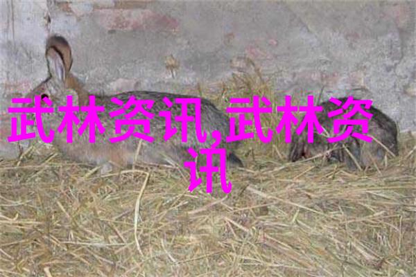 中国功夫数据解析揭秘太极拳的实战效能