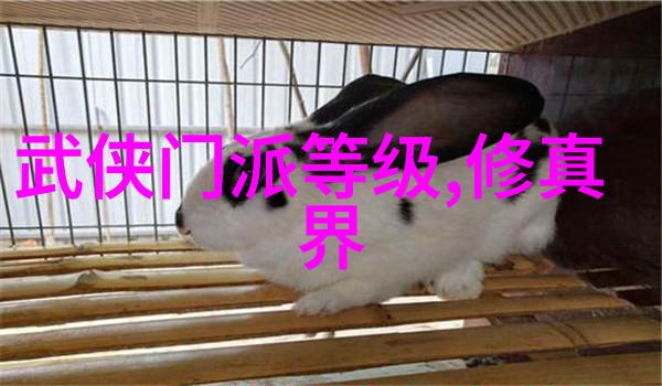 揭秘太极24式探索正面与背面的内在力量对比