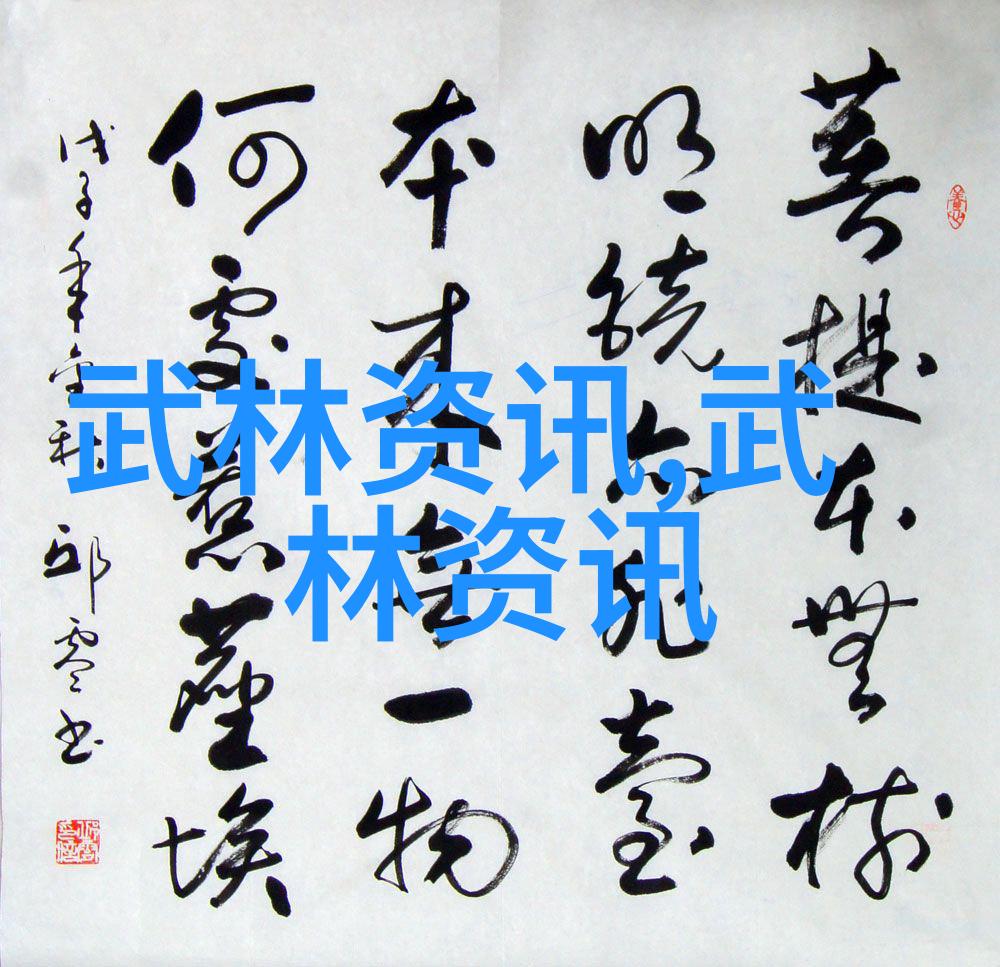梅花拳的秘密一场穿越时空的对话