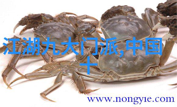 玄幻各种剑法名称大全我是如何学会一百种神秘剑法的