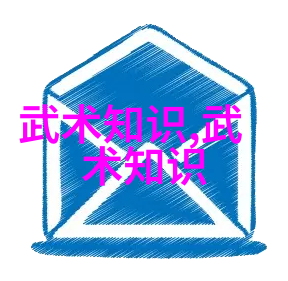 德国拳师在成都探索太极之韵邱慧芳24式太极拳全套教学体验