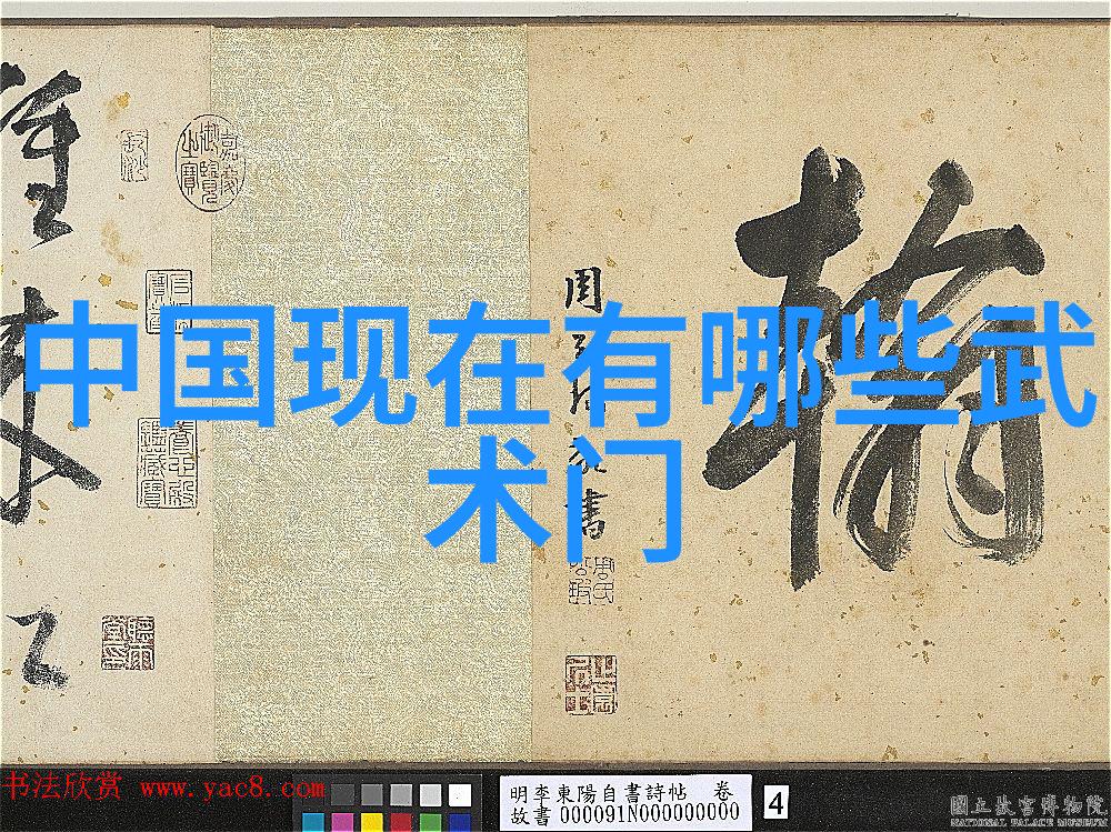 揭秘武林巅峰十大最强武功秘籍的神奇之谜