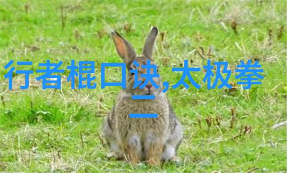 从李小龙到吴京影视中武术演绎的艺术与真实