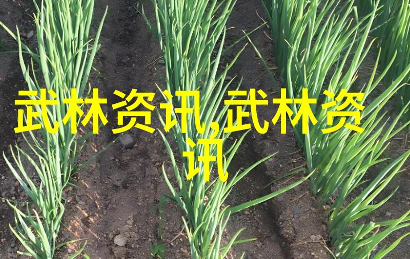 太极拳24式分解动作教学-揭秘太极拳24式步骤详解与技巧分享