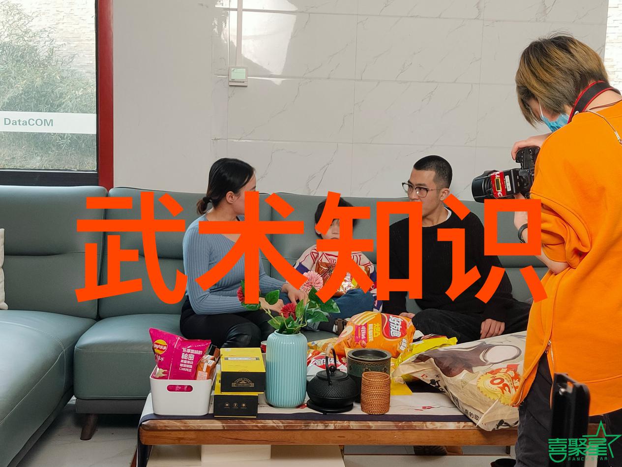 中国武功秘籍的传承与演变