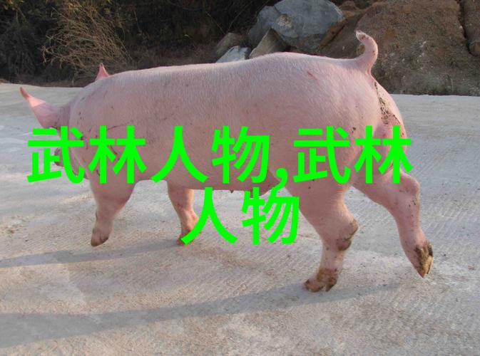 剑舞轻狂武术的十二变